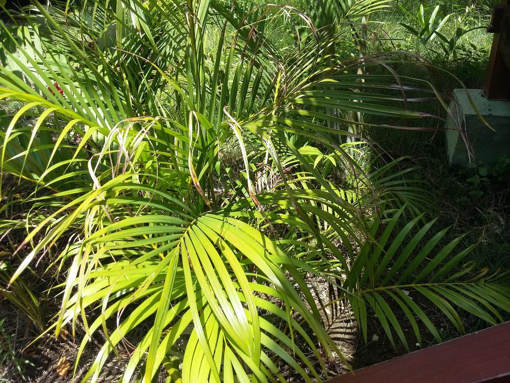 Kalinka Inn Gili Meno Εξωτερικό φωτογραφία